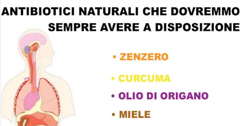 10-antibiotici-naturali