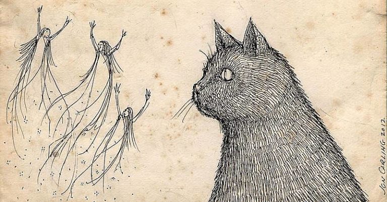 I gatti vedono gli spiriti? Ecco la risposta della scienza