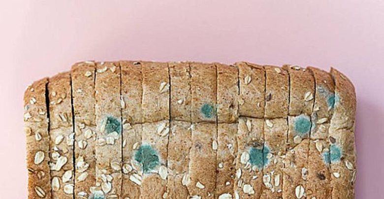 Pane con muffa