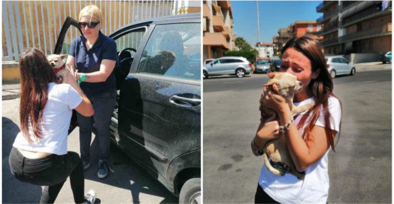 Ritrova il cane smarrito dopo 8 anni