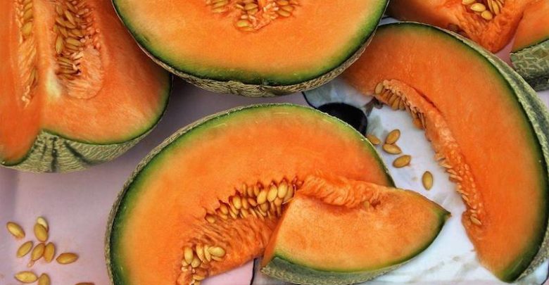 proprietà melone