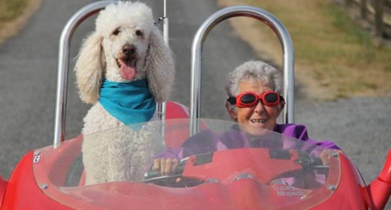 Norma e Ringo