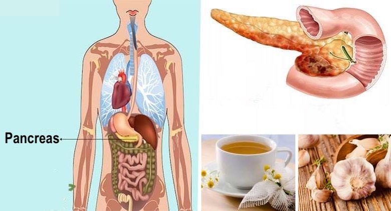 3 Ricette Per Disintossicare Il Pancreas E Perdere Peso