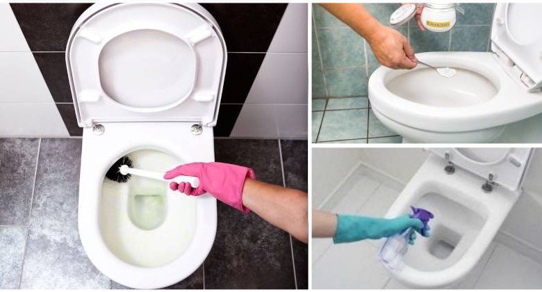 pulire wc