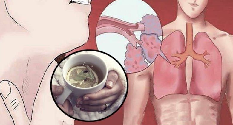 piante per eliminare il catarro