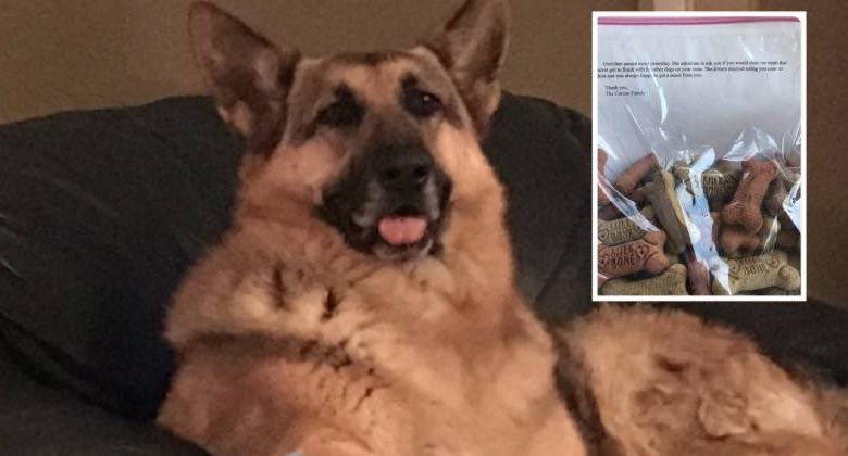 Il cane muore