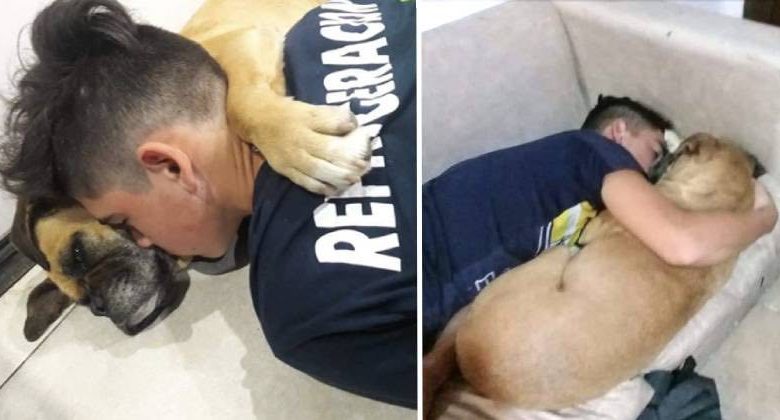 cane morto di paura