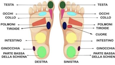 dr oz 10 giorni di disintossicazione dr oz 10 giorni di disintossicazione