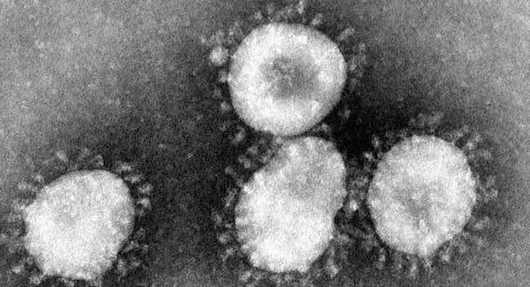 Coronavirus e Nostradamus