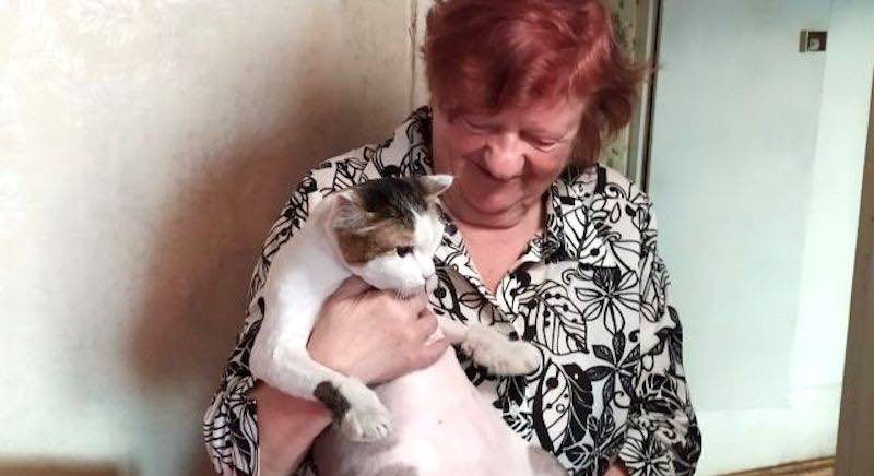 anziana salvata dal gatto