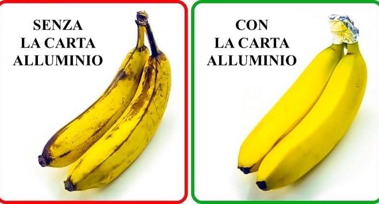 freschezza verdura