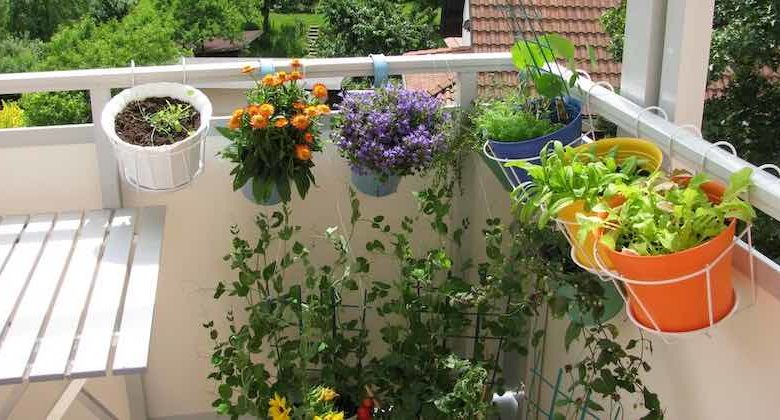 come fare orto sul terrazzo