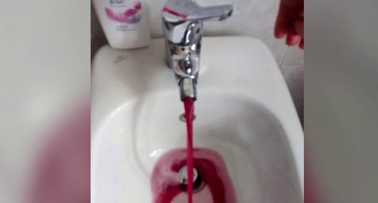 vino lambrusco