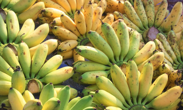 Banana, quando mangiarla e quale scegliere