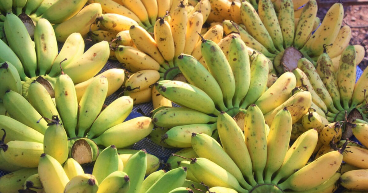 Banana, quando mangiarla e quale scegliere