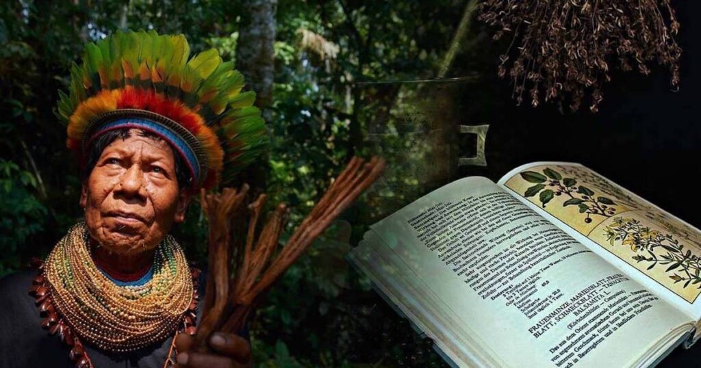 Una tribù amazzonica realizza la prima enciclopedia di medicina tradizionale