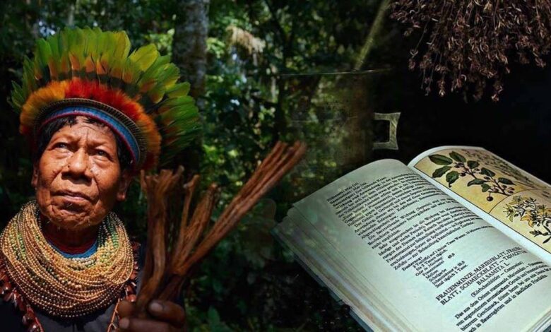 Una tribù amazzonica realizza la prima enciclopedia di medicina tradizionale