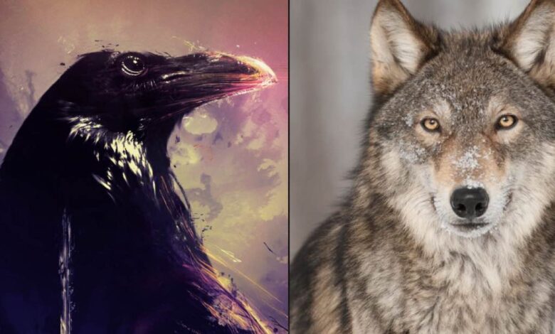 animali