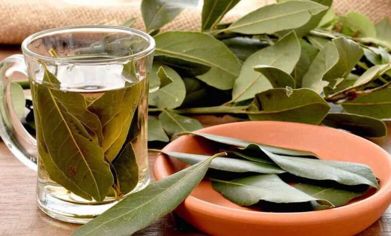 olio di alloro