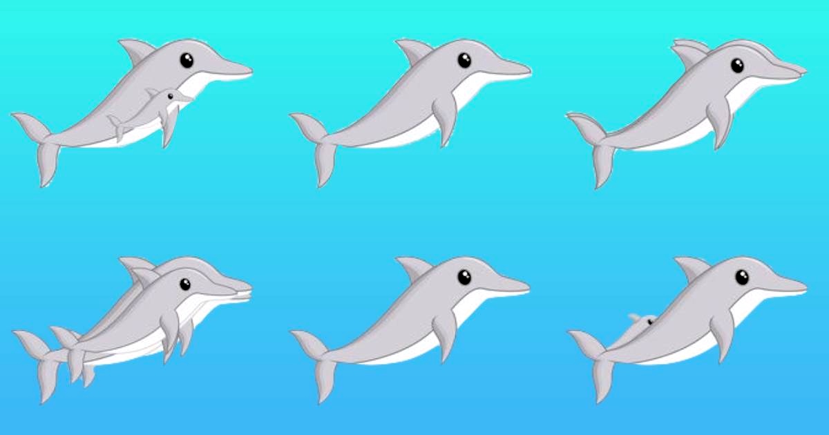 Test visivo delfini