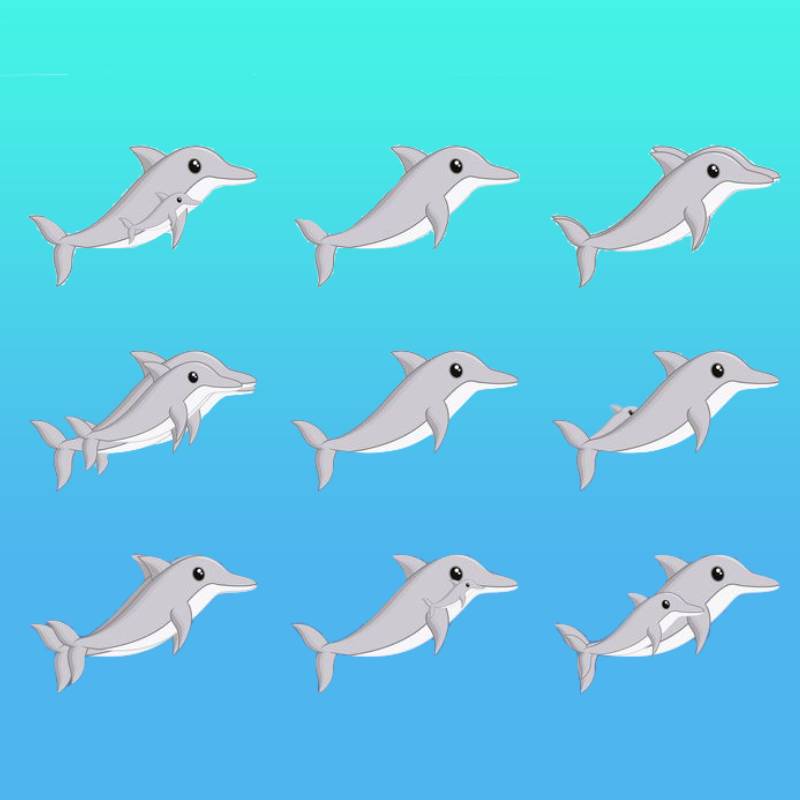 Test visivo quanti delfini vedi