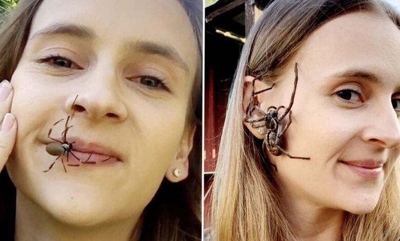 ragazza si rilassa grazie ai ragni