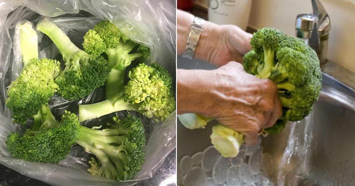 Come pulire i broccoli parassiti