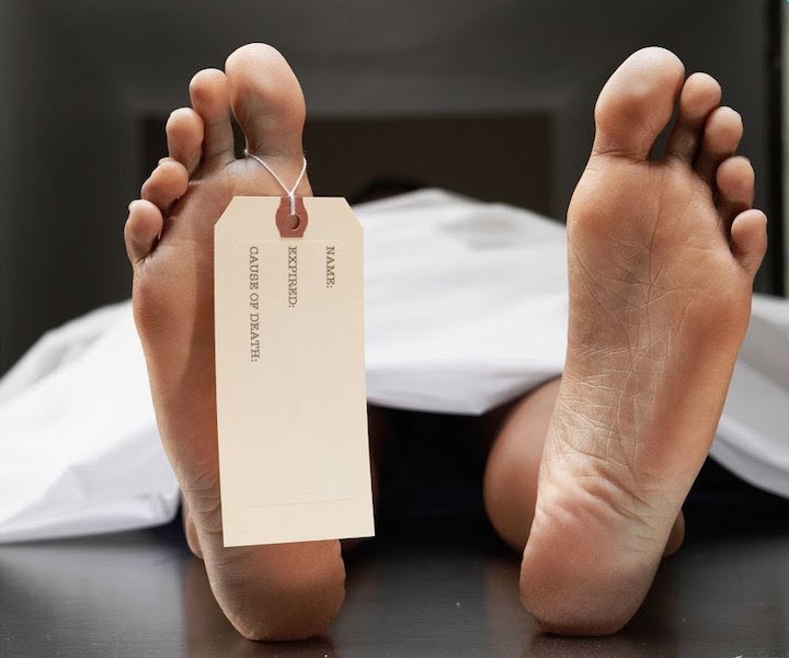 Cosa succede corpo dopo la sepoltura