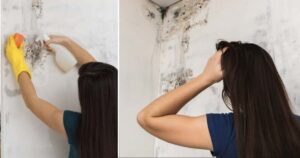 Come eliminare la muffa mura di casa
