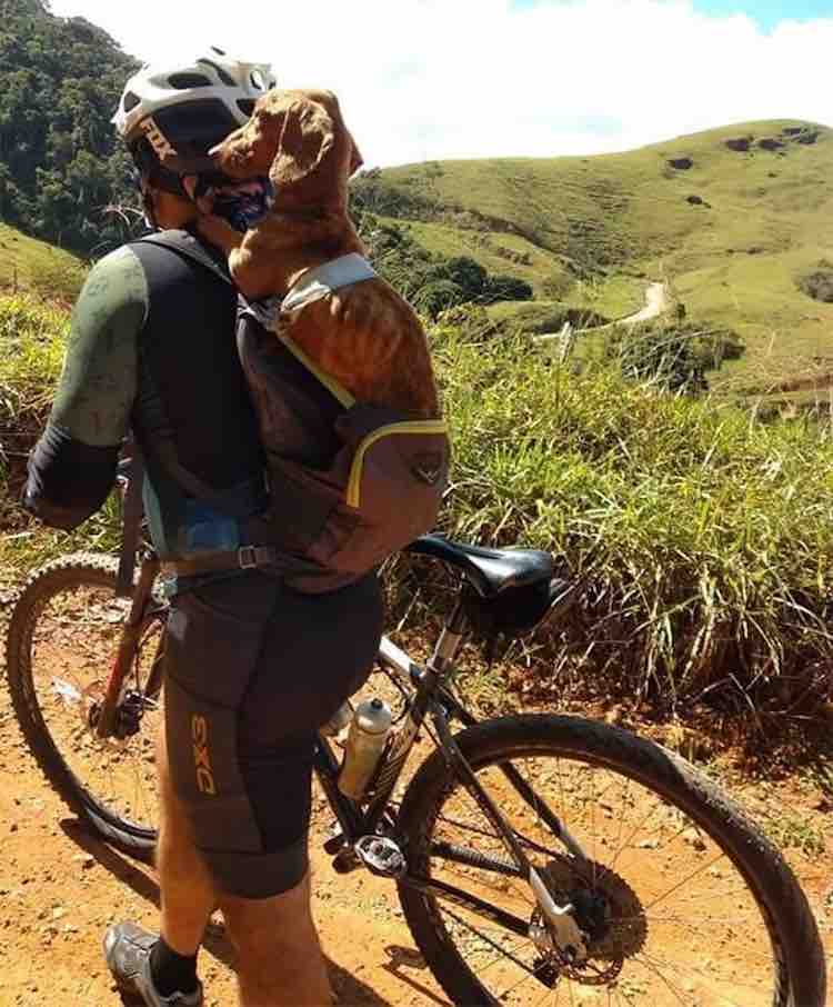 Un ciclista trova un cane malnutrito 1